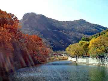 新澳天天开奖资料大全旅游团，博尔塔拉物流